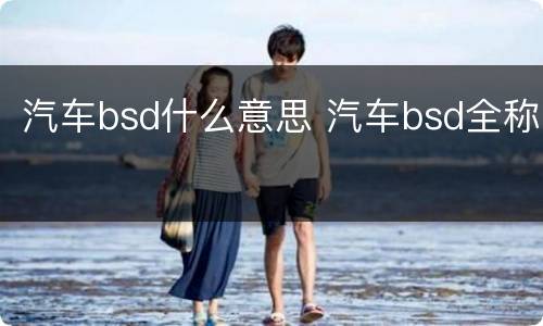 汽车bsd什么意思 汽车bsd全称