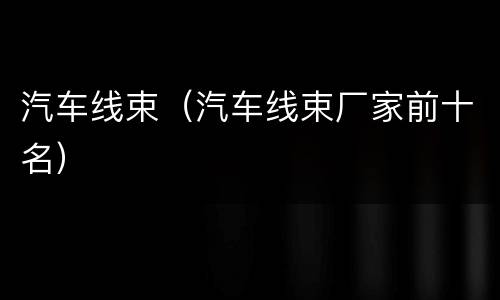 汽车线束（汽车线束厂家前十名）