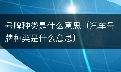 号牌种类是什么意思（汽车号牌种类是什么意思）
