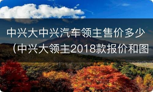 中兴大中兴汽车领主售价多少（中兴大领主2018款报价和图片）