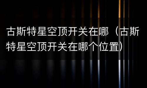 古斯特星空顶开关在哪（古斯特星空顶开关在哪个位置）