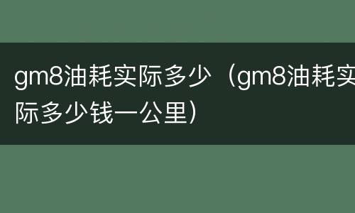 gm8油耗实际多少（gm8油耗实际多少钱一公里）