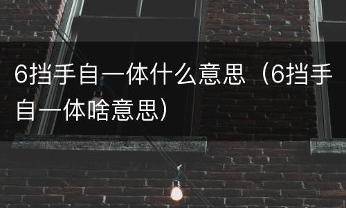 6挡手自一体什么意思（6挡手自一体啥意思）