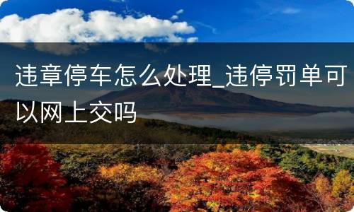 违章停车怎么处理_违停罚单可以网上交吗