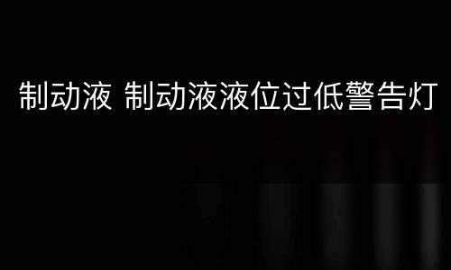 制动液 制动液液位过低警告灯
