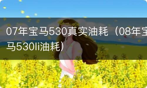 07年宝马530真实油耗（08年宝马530li油耗）