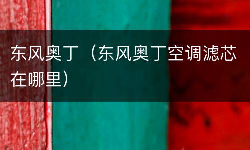 东风奥丁（东风奥丁空调滤芯在哪里）