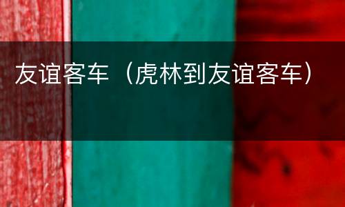 友谊客车（虎林到友谊客车）