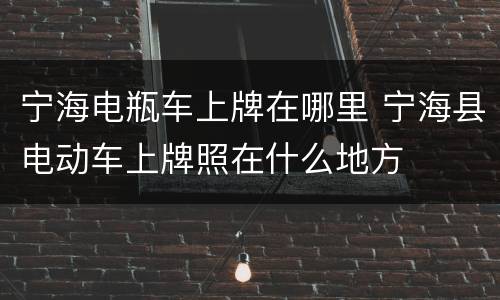宁海电瓶车上牌在哪里 宁海县电动车上牌照在什么地方