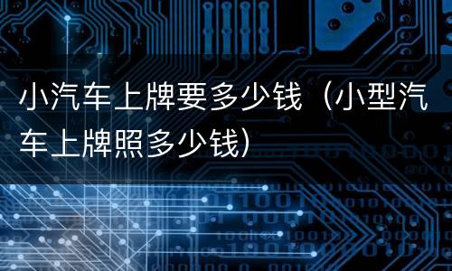 小汽车上牌要多少钱（小型汽车上牌照多少钱）