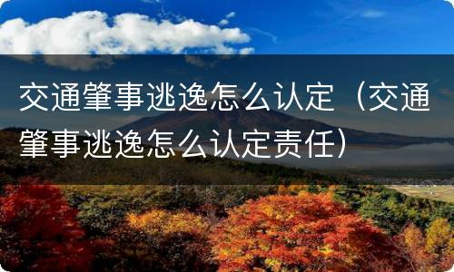 交通肇事逃逸怎么认定（交通肇事逃逸怎么认定责任）