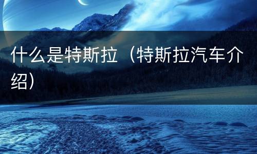 什么是特斯拉（特斯拉汽车介绍）