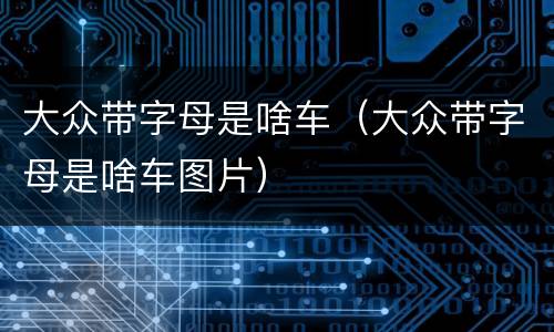 大众带字母是啥车（大众带字母是啥车图片）