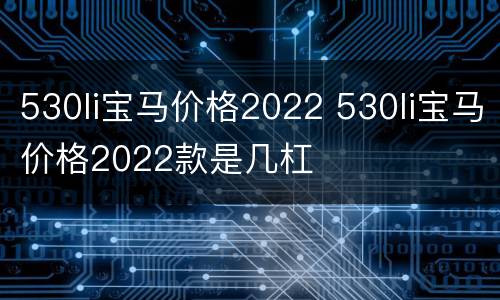 530li宝马价格2022 530li宝马价格2022款是几杠