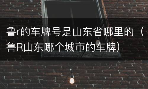 鲁r的车牌号是山东省哪里的（鲁R山东哪个城市的车牌）