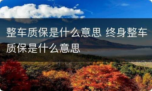 整车质保是什么意思 终身整车质保是什么意思