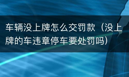 车辆没上牌怎么交罚款（没上牌的车违章停车要处罚吗）