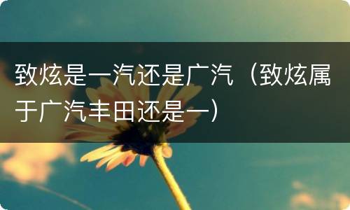 致炫是一汽还是广汽（致炫属于广汽丰田还是一）