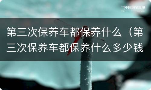 第三次保养车都保养什么（第三次保养车都保养什么多少钱）