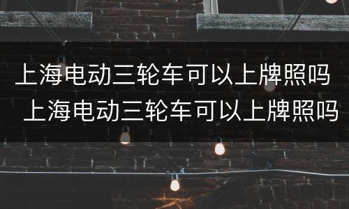 上海电动三轮车可以上牌照吗 上海电动三轮车可以上牌照吗现在