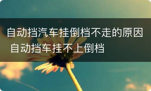 自动挡汽车挂倒档不走的原因 自动挡车挂不上倒档