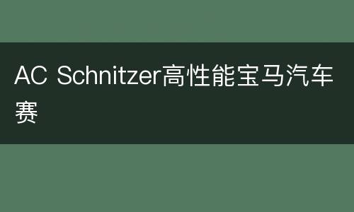 AC Schnitzer高性能宝马汽车赛