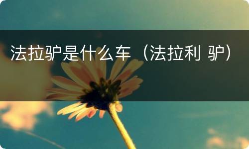 法拉驴是什么车（法拉利 驴）