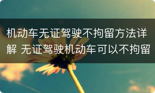 机动车无证驾驶不拘留方法详解 无证驾驶机动车可以不拘留吗