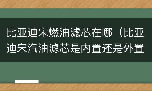 比亚迪宋燃油滤芯在哪（比亚迪宋汽油滤芯是内置还是外置的）