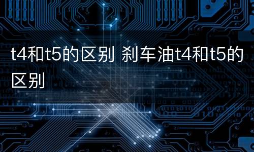t4和t5的区别 刹车油t4和t5的区别