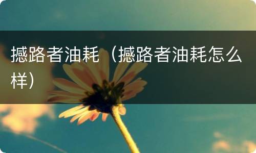 撼路者油耗（撼路者油耗怎么样）