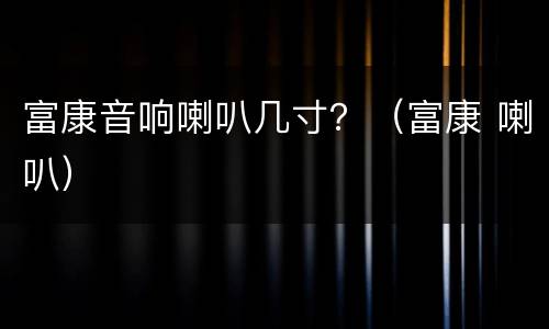 富康音响喇叭几寸？（富康 喇叭）