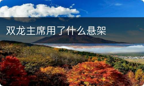 双龙主席用了什么悬架