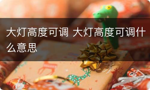 大灯高度可调 大灯高度可调什么意思