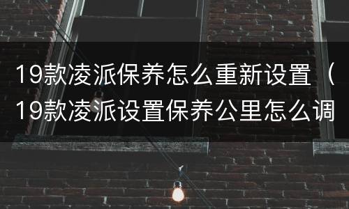 19款凌派保养怎么重新设置（19款凌派设置保养公里怎么调）