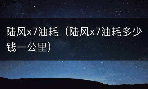 陆风x7油耗（陆风x7油耗多少钱一公里）