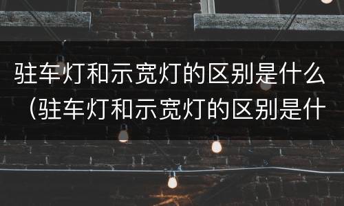 驻车灯和示宽灯的区别是什么（驻车灯和示宽灯的区别是什么呢）