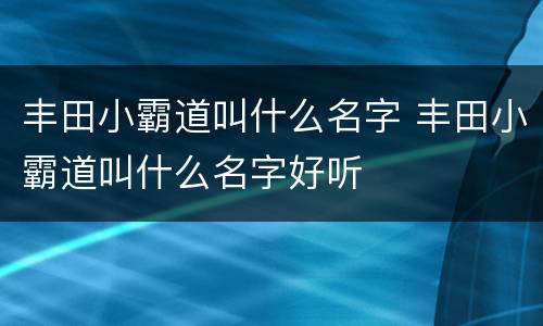 丰田小霸道叫什么名字 丰田小霸道叫什么名字好听