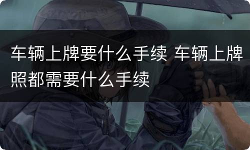 车辆上牌要什么手续 车辆上牌照都需要什么手续