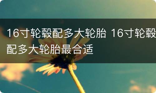 16寸轮毂配多大轮胎 16寸轮毂配多大轮胎最合适