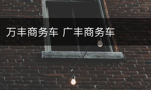 万丰商务车 广丰商务车