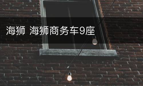 海狮 海狮商务车9座