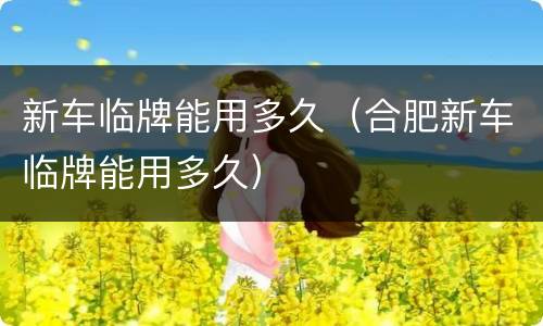 新车临牌能用多久（合肥新车临牌能用多久）