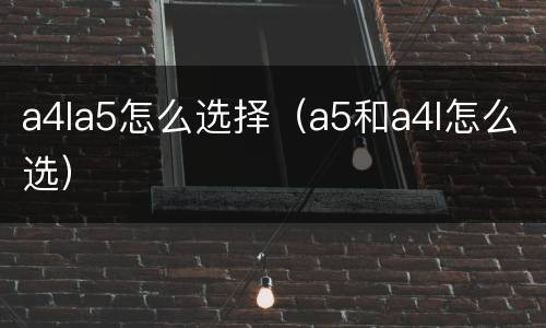 a4la5怎么选择（a5和a4l怎么选）