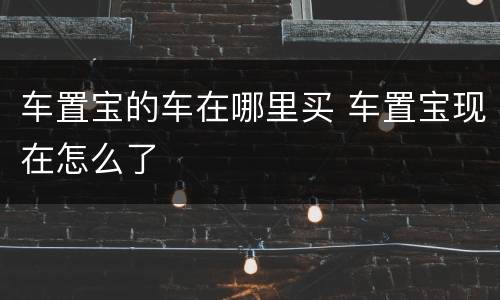车置宝的车在哪里买 车置宝现在怎么了