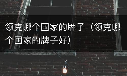 领克哪个国家的牌子（领克哪个国家的牌子好）