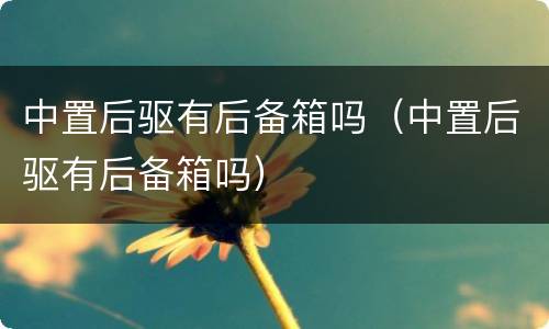 中置后驱有后备箱吗（中置后驱有后备箱吗）