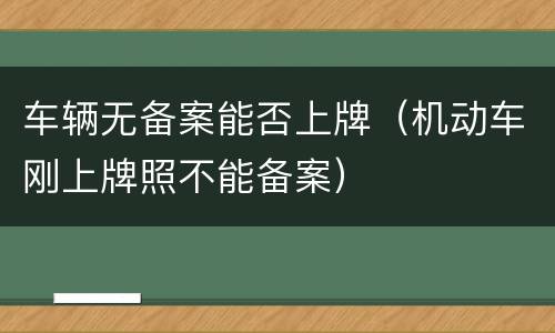 车辆无备案能否上牌（机动车刚上牌照不能备案）