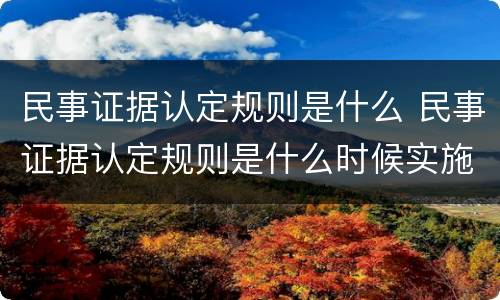 民事证据认定规则是什么 民事证据认定规则是什么时候实施