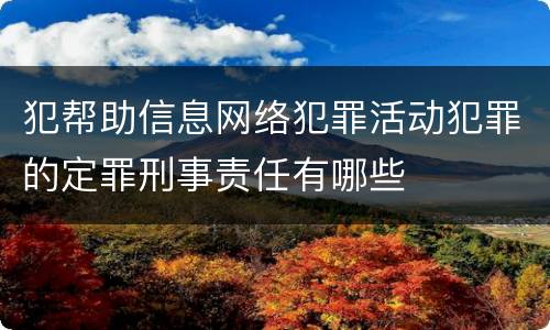 犯帮助信息网络犯罪活动犯罪的定罪刑事责任有哪些